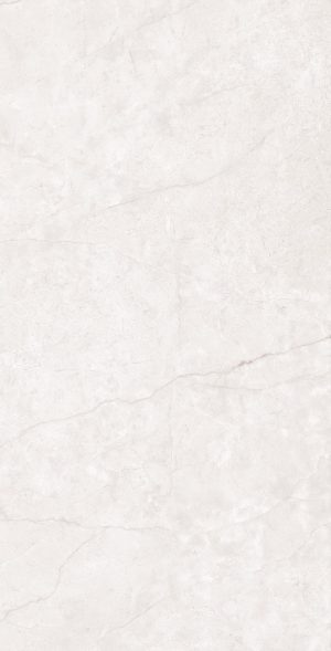 Barcelona Bianco Polished  60x120cm