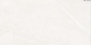 Iris Grey- Lt Glossy 30x60cm