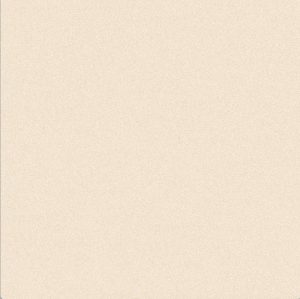 Desert Beige Full Body Matt  60x60cm