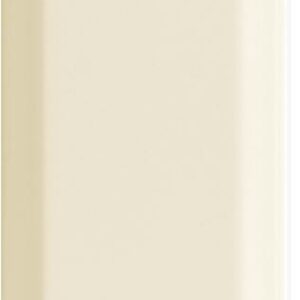 BISSEL VISON 10X20CM