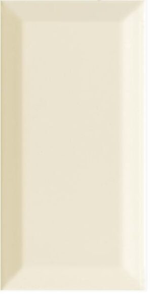 BISSEL VISON 10X20CM