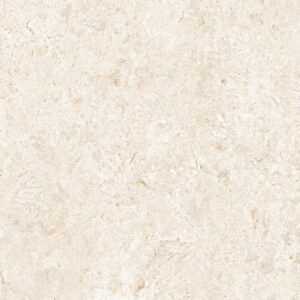 CORAL BEACH ANT 60X60CM