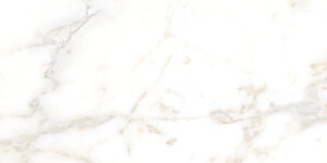 CALACATTA GOLD PL 60X120CM