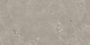 NEEKO TAUPE (PRC)60X120 SL RC