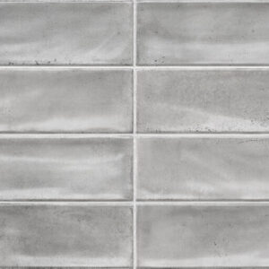 BOTAN GREY BRILLO 30X60CM