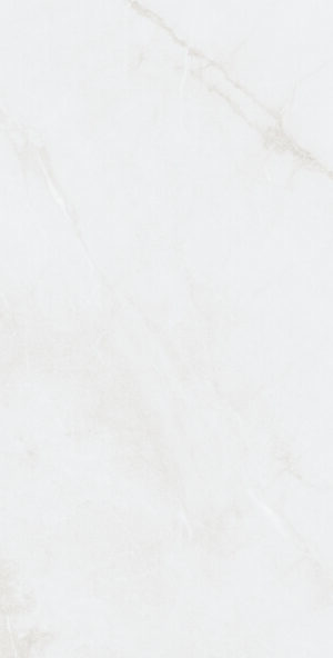 AVENUE LIGHT MATT RECT 60X120CM