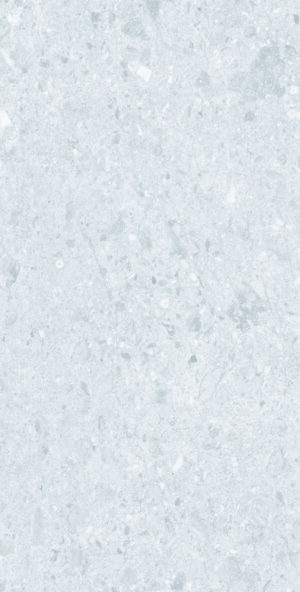SILEX GREY 60X120CM