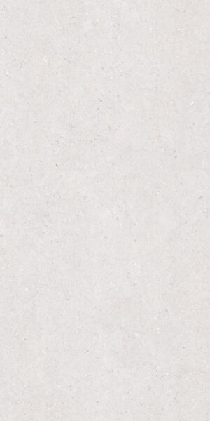 SALTED CONCRETE WHITE MATT 60X120CM