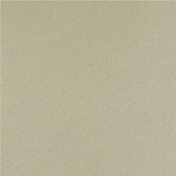 PANEL DE ALUMINIO CHAMPAGNE GOLG PRIMER 122X244CM