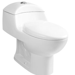 INODORO DE 1 PZA MODELO SANTA TEREZA