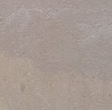 SHELL REEF 60 X 40 CM