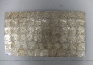 CAPIZ SHELL 300x600mm