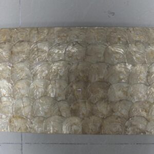 CAPIZ SHELL 300x600mm
