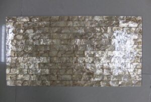 CAPIZ SHELL 300x600mm