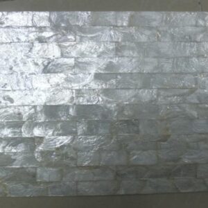 CAPIZ SHELL 300x600mm