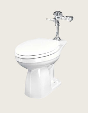 INODORO DISCAPACITADO PARA FLUXOMETRO ELONGADO 1.6 GPF