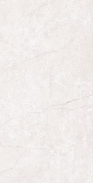 BARCELONA BIANCO POLISHED 60X120CM