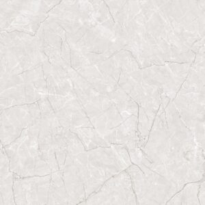 2084-DK VESSEL GREY GLOSSY 30X60CM