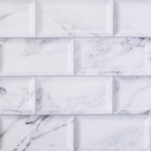 ALASKA-10HL-1 DECOR GLOSSY 30X60CM