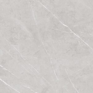 EX-239 GREY GLOSSY 60X60CM