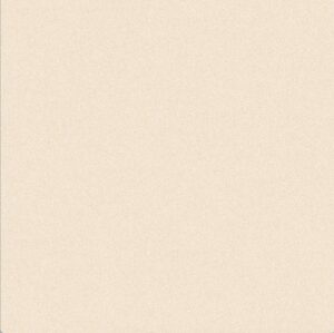 DESERT BEIGE FULL BODY MATT 60X60CM