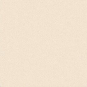 DESERT BEIGE FULL BODY MATT 60X60CM