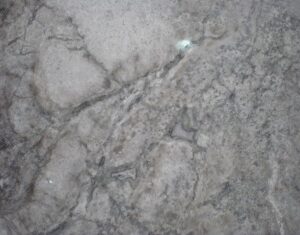 TRAVERTINO SILVER P/F 61X61CM