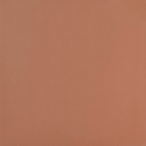 COTTO NEW R10 20x20CM