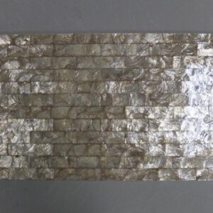 CAPIZ SHELL 300x600mm